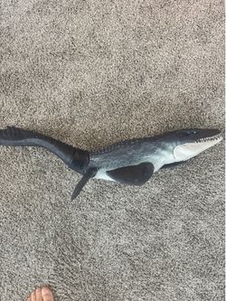 Mosasaurus