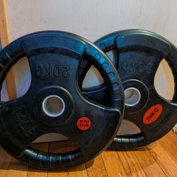 45 Lb Rubberized Metal Weight Plates