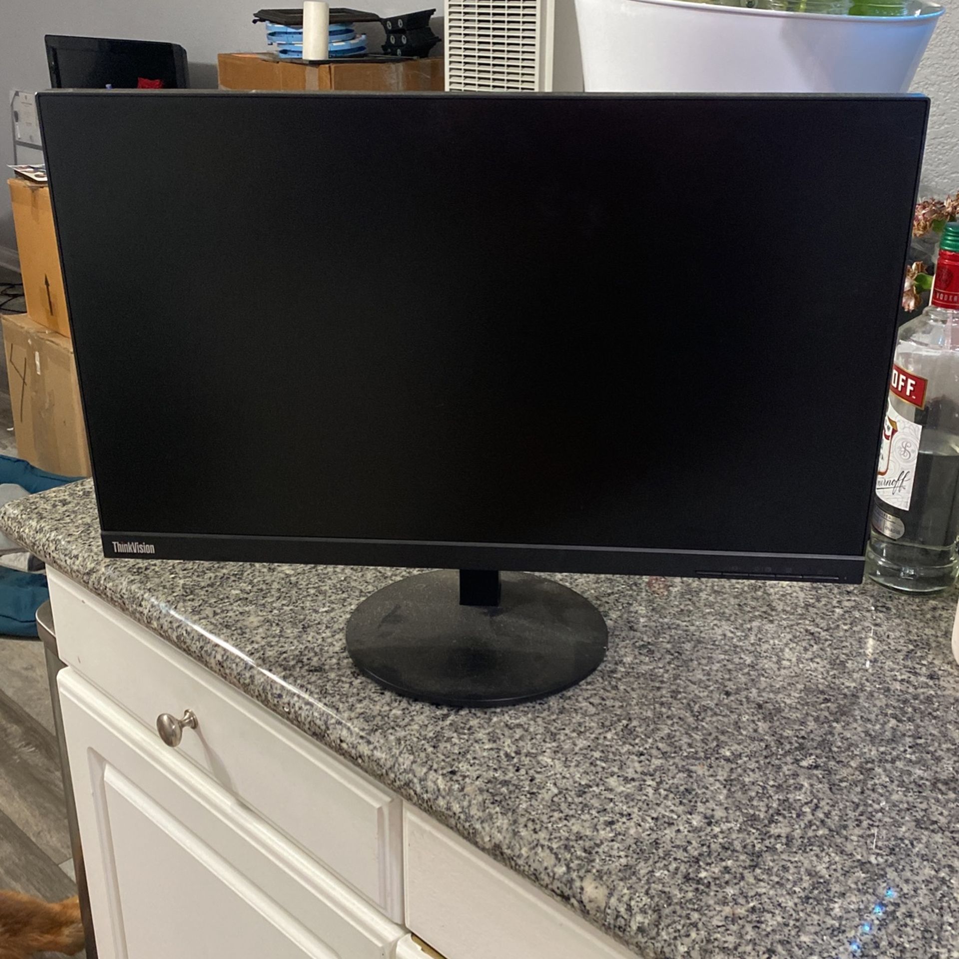 Think Vision Monitor 