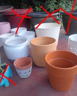 Plant Pots $3 Small- $5 Medium  ALL FOR  20
