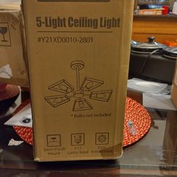 5 Light Ceiling Light 
