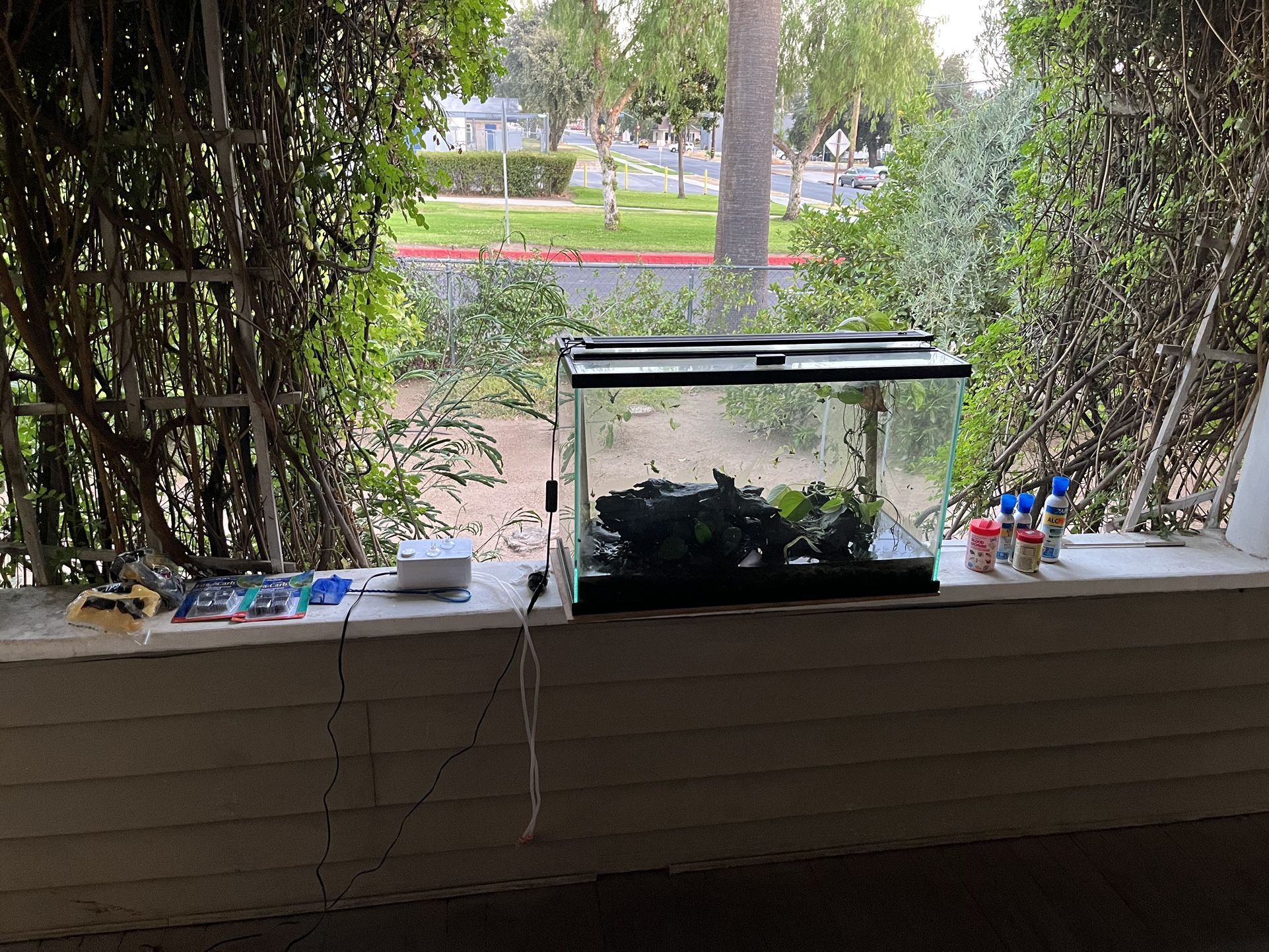 Aquarium With Accessories