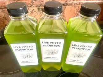 Pyto planktom
