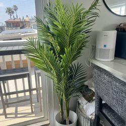 Fake Plant 
