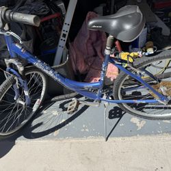 Diamondback Serene Classic Bike