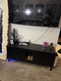 Modern Black TV Stand w/ Hidden Storage / Cat Litter Space 🖤