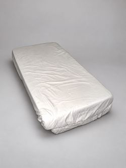 2 Twin Mattresses