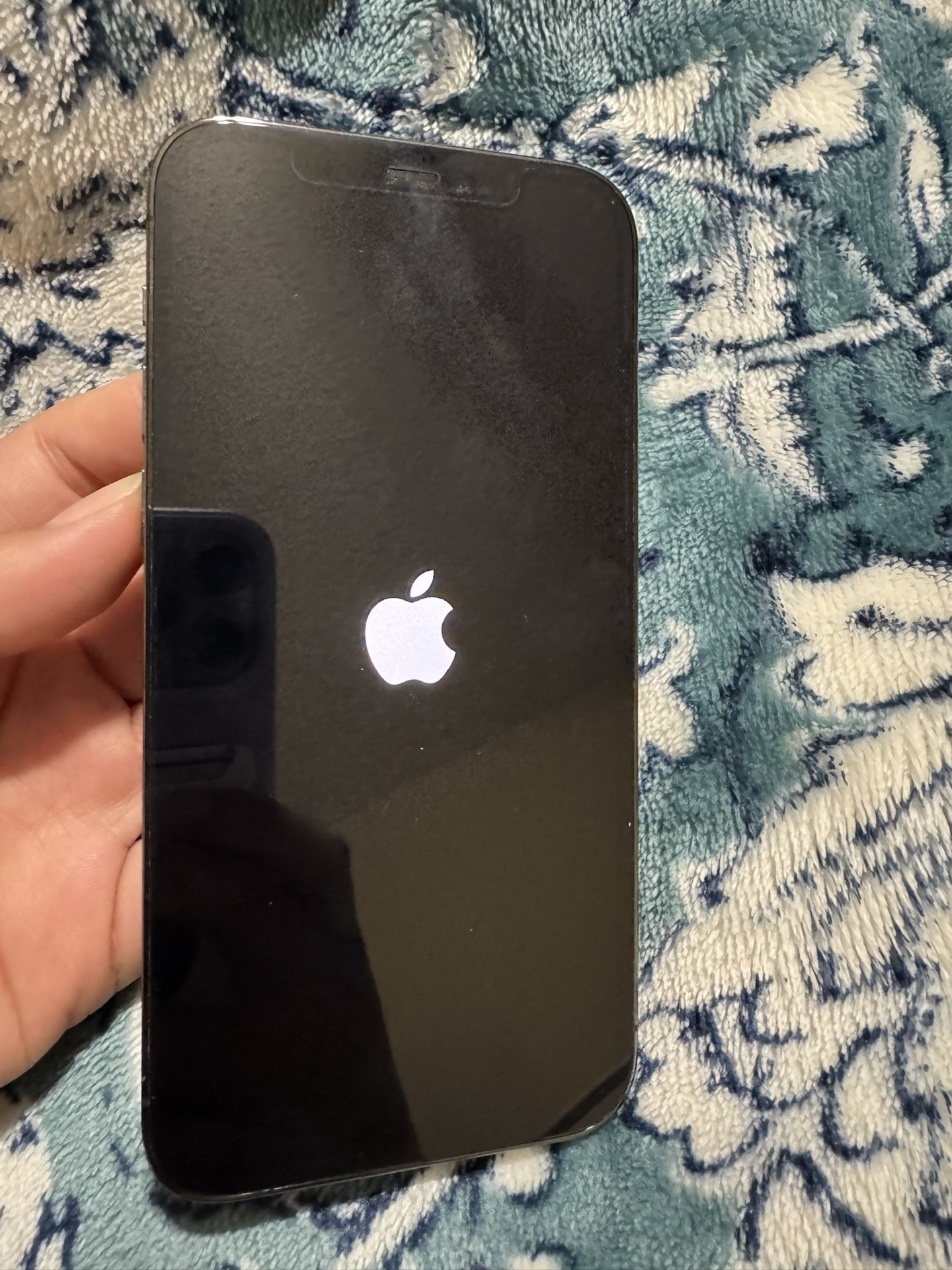 iPhone 12 Pro Max 256Gb Unlocked