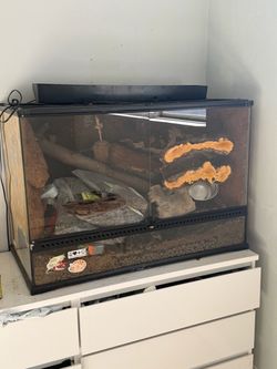 36x 18x 24 exo terra terrarium