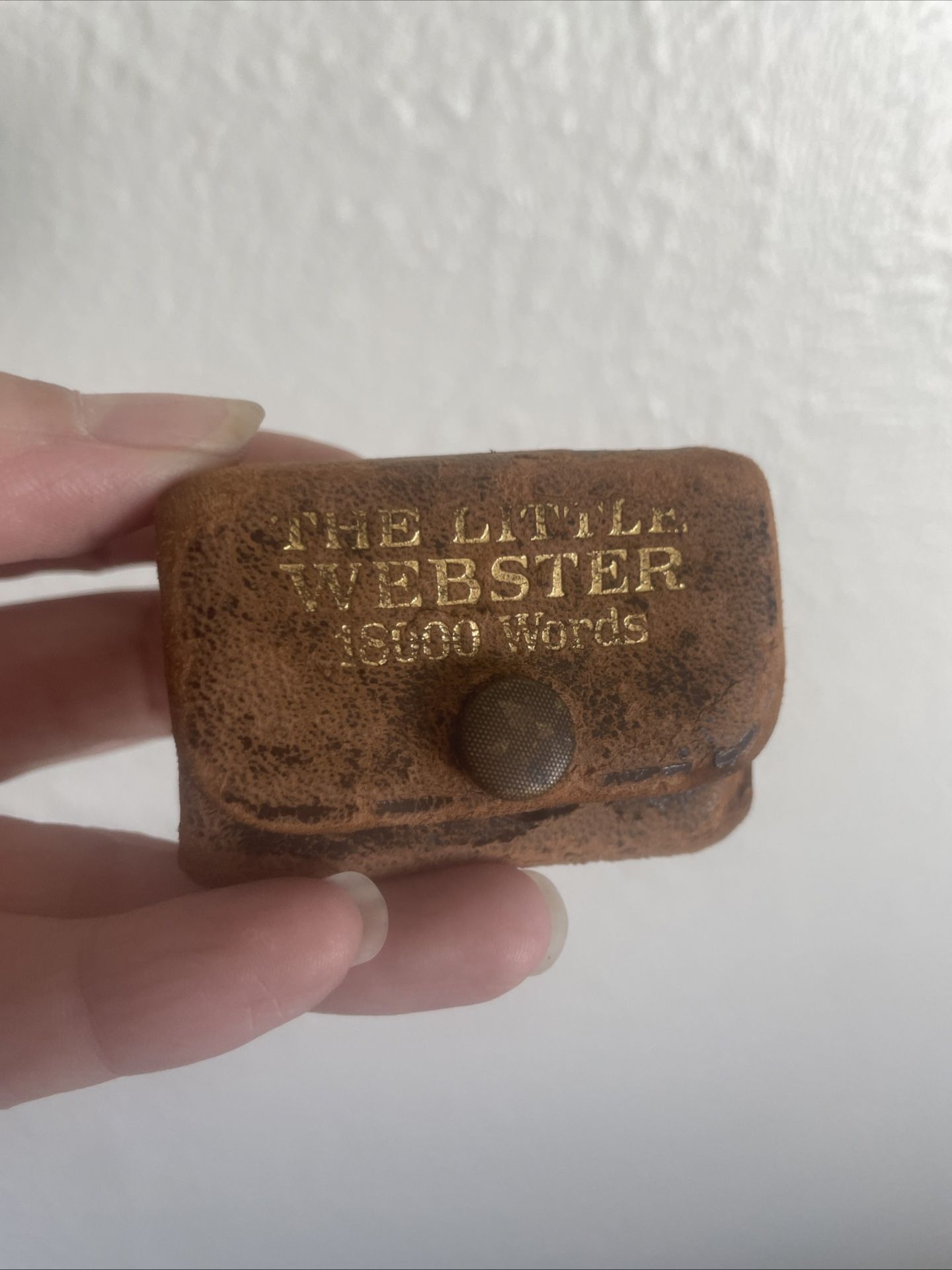 Vintage Little Webster 