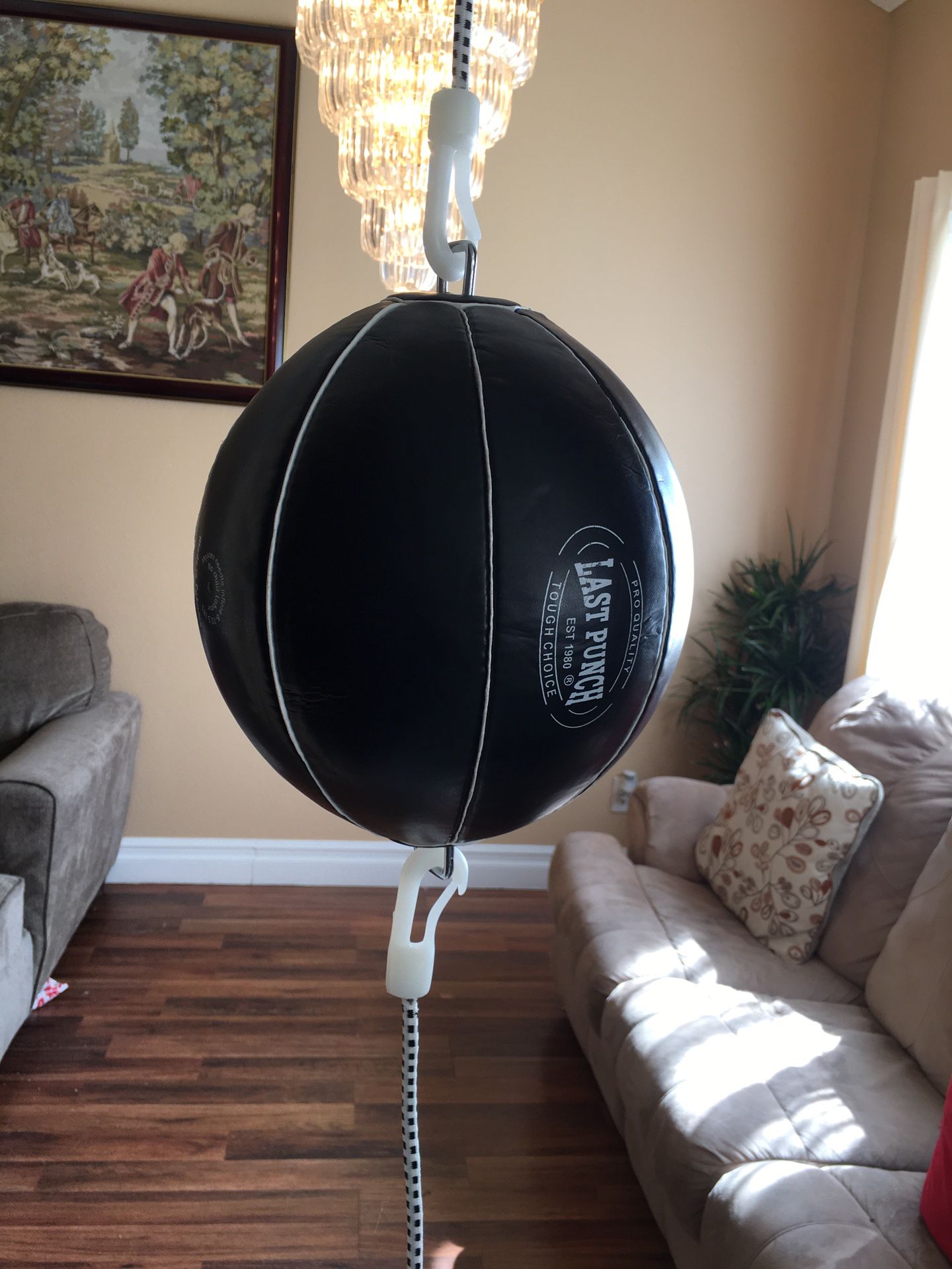 PUNCHING BAG BRAND NEW DOUBLE AND DOUBLE SPEED BAG BRAND NEW 