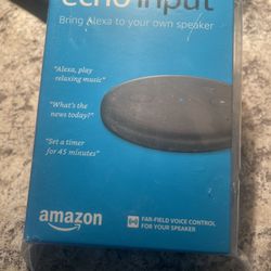 Amazon Echo Input 
