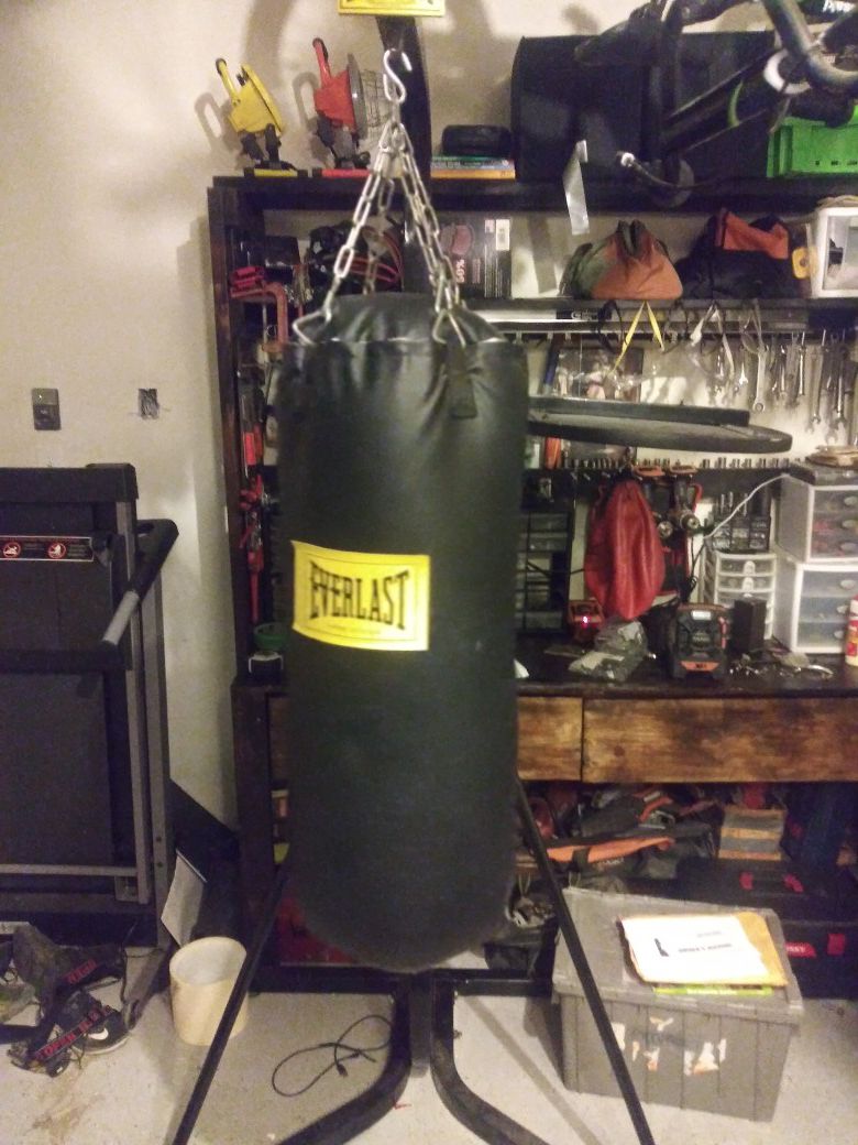 Everlast 50lb bag and speed bag combo