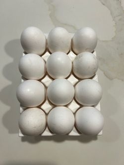 Organic Large/XL Chicken Eggs—$7/DOZEN
