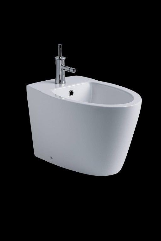 Bidet. Bathroom Vanity