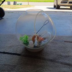Fish Bowl