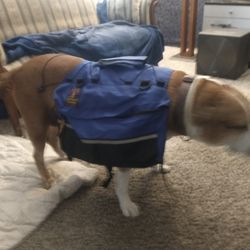 Outward Hound Doggy Saddlebags