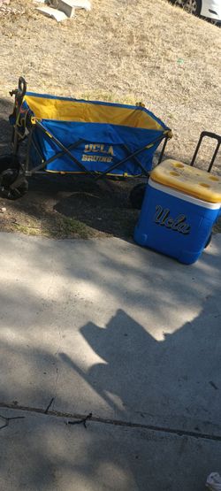 UCLA Bruins