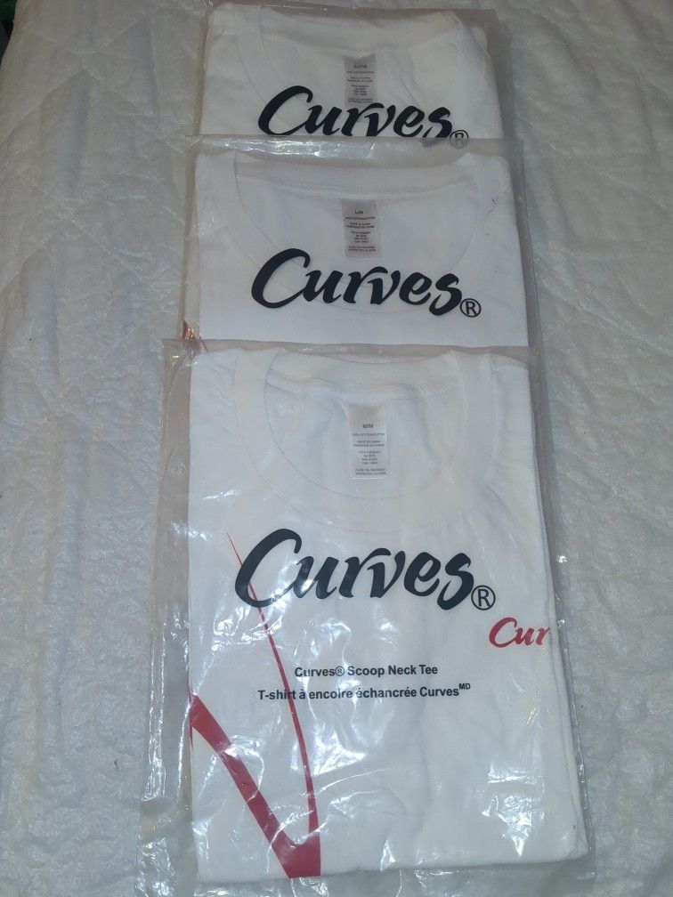 Curves Scoop Neck T- Shirt