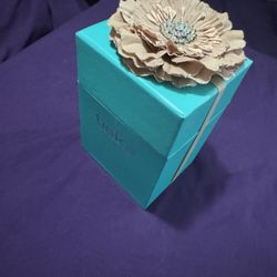 Tieks Champagne Ballet Flats + Collectors Box & Accessories Bundle — $275 