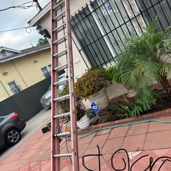 Excellent Condition, Different Sizes Fiberglass Extension, Ladders