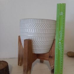 Pot with Soil