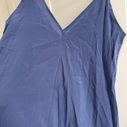 Zara Blue Dress 