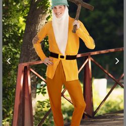 Bashful (7 Dwarfs) Men’s Costume