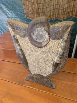 Orthoceras and ammonite fossil sculpture