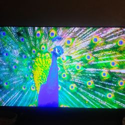 50 Inch Samsung T.V. 