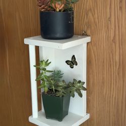 Wall Decor with Succulents