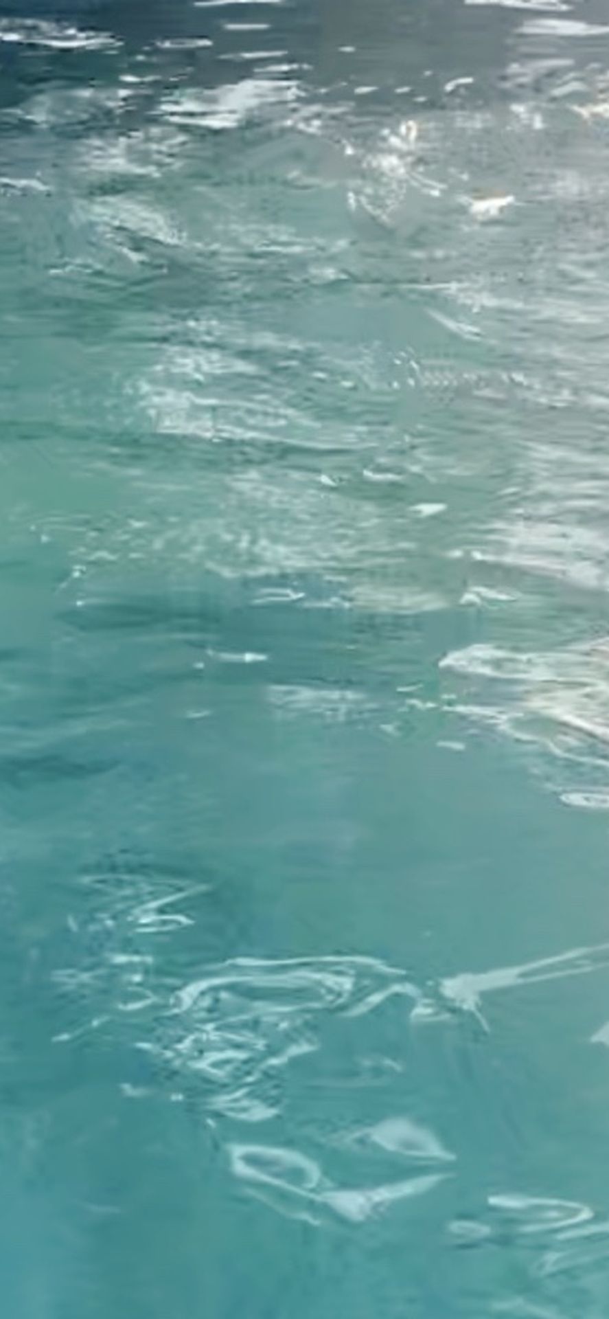 Above Ground Pool