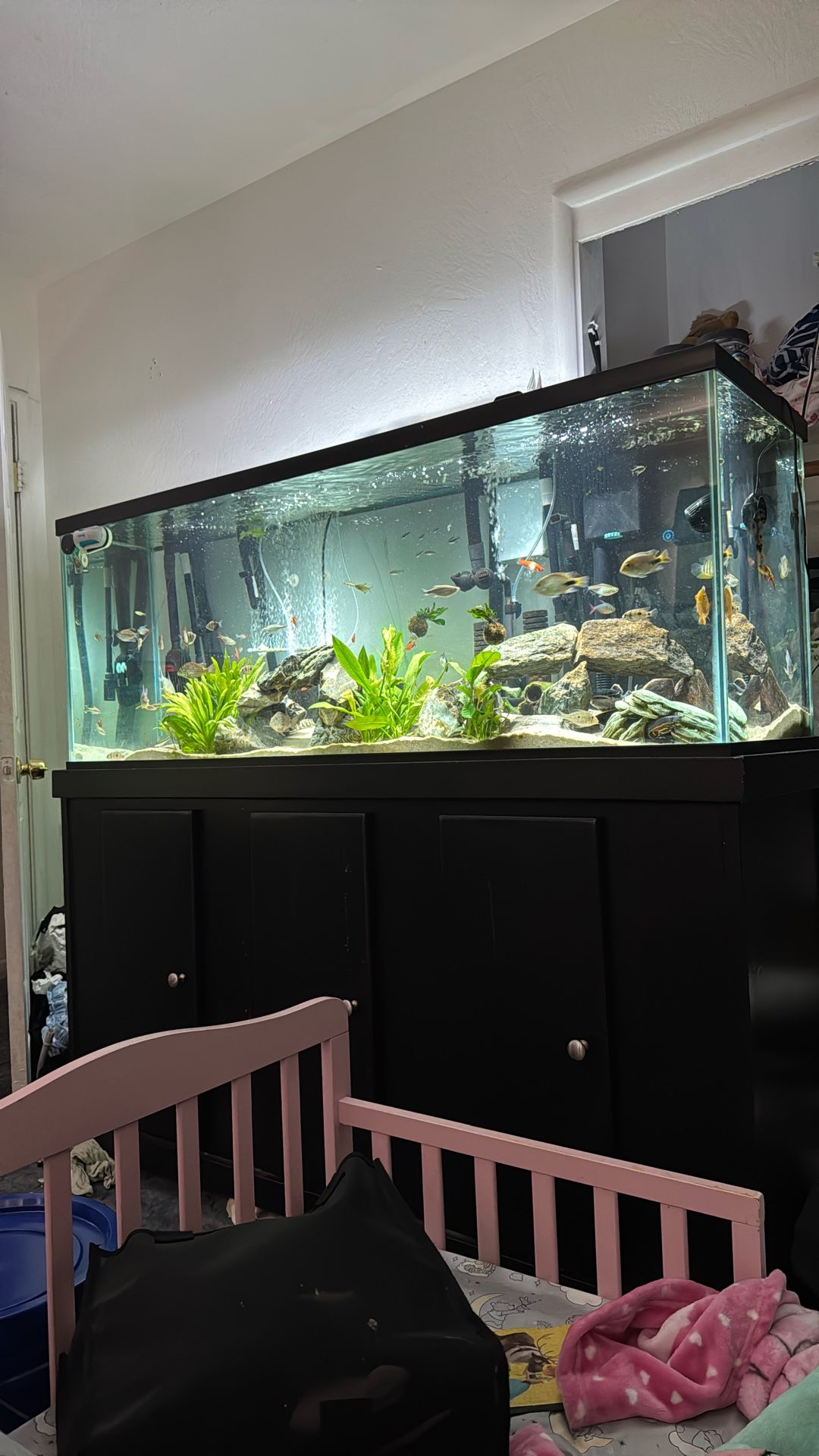 100g Aquarium With Stand