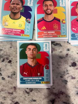 PANINI FIFA WORLD CUP STICKERS