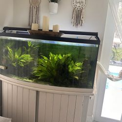 Fish Tank 60 Gallons 