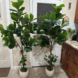 Artificial Plants 6Ft $120 Each