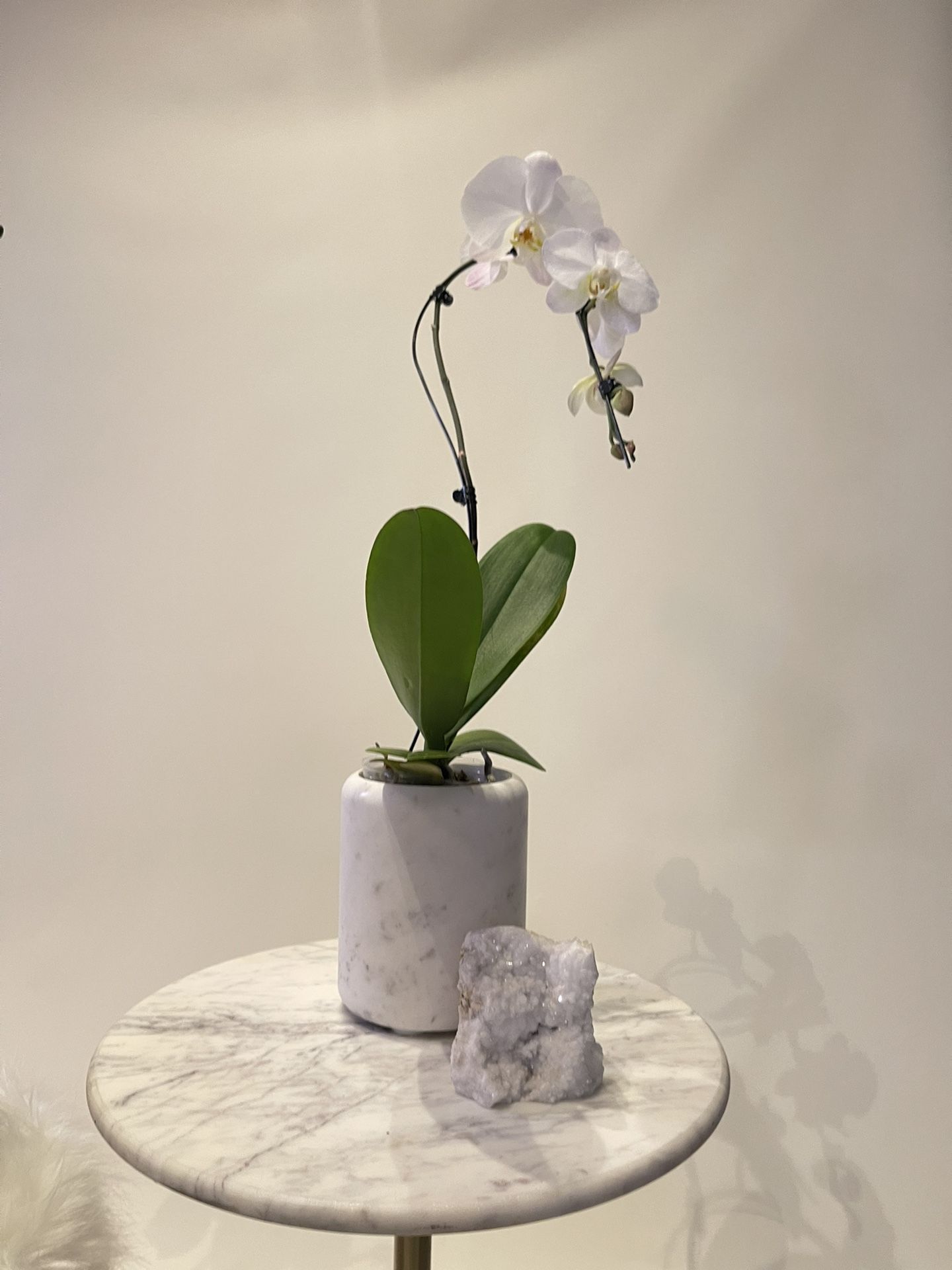 FREE LARGE CANDLE + LARGE WHITE ORCHID IN MARBLE BASE WITH MOSS