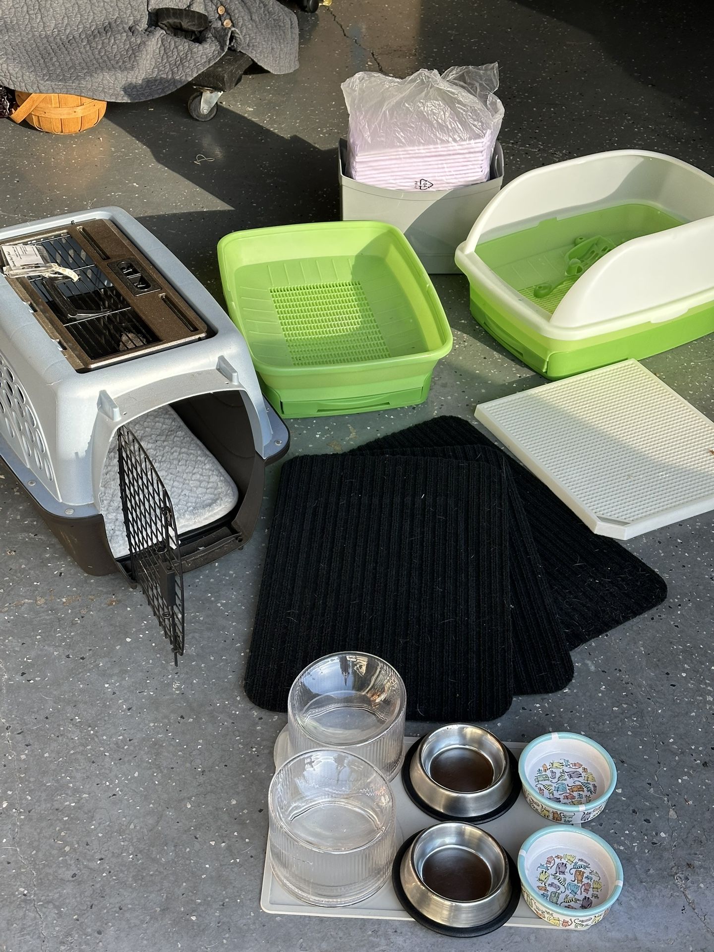 Cat Supplies