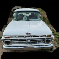 1966 Ford F-100