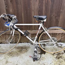 Bicycle And Accessories