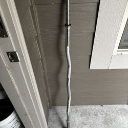 Curling Bar And Weight Plates 