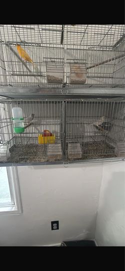 Bird cage
