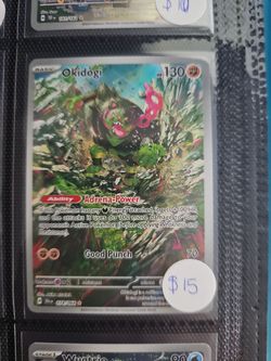 Okidogi Pokémon Card 074/064 Special Illustration Rare