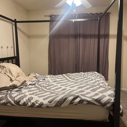 Bed Frame 