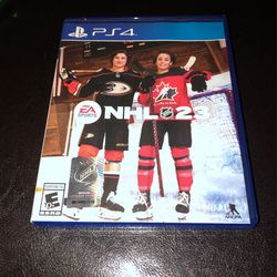 PS4 Game