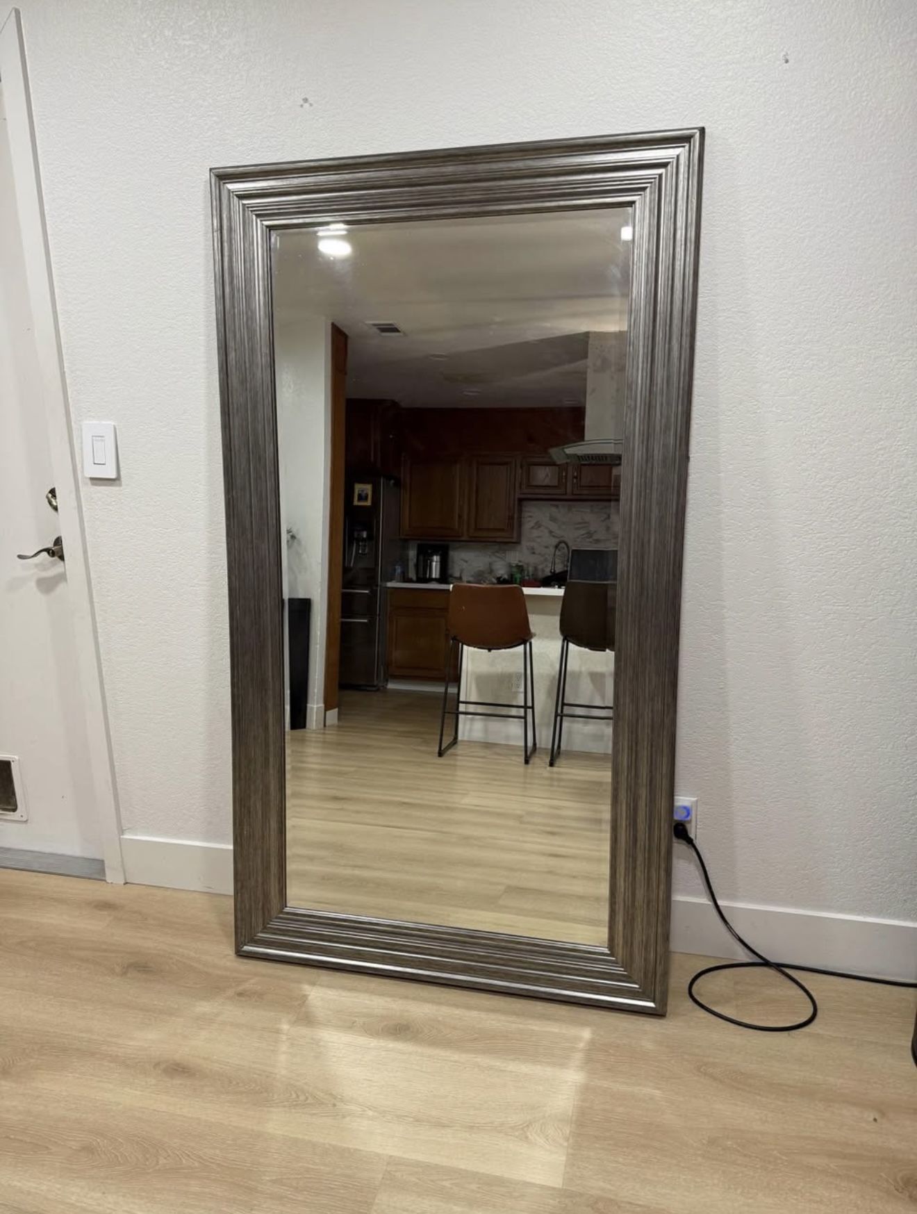 Large Modern Body Mirror / Home Goods