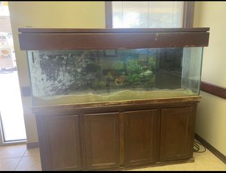 Fish Tank
