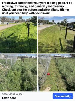 Lawnmower