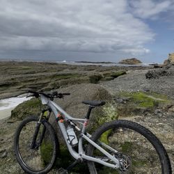 2016 Specialized FSR Camber MTB