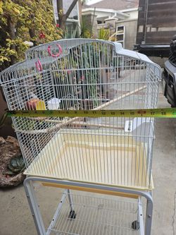 Bird Cage